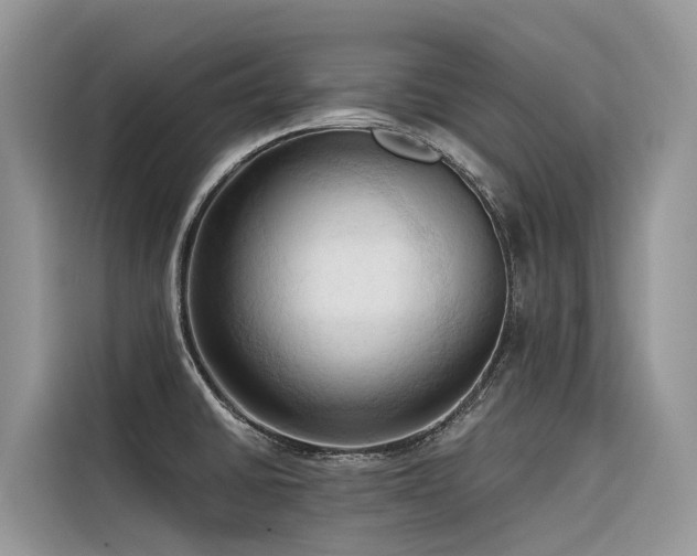X0000116321430200912011103