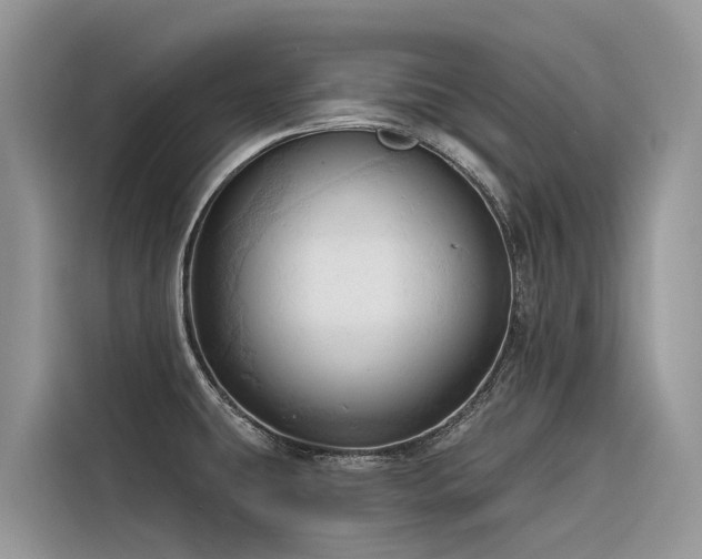 X0000116321431200912011103