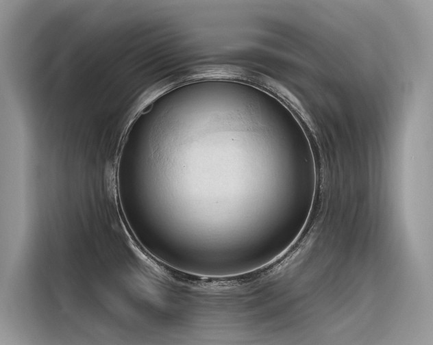 X0000116321433200912011103