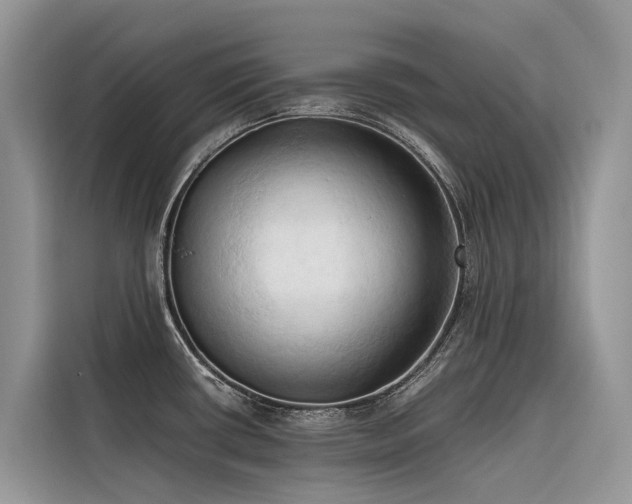 X0000116321434200912011103