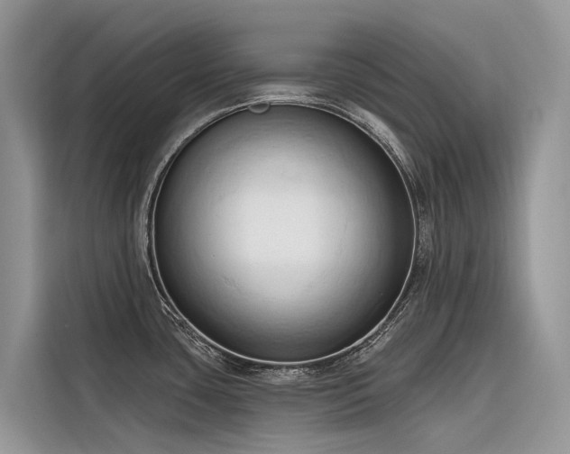 X0000116321435200912011103