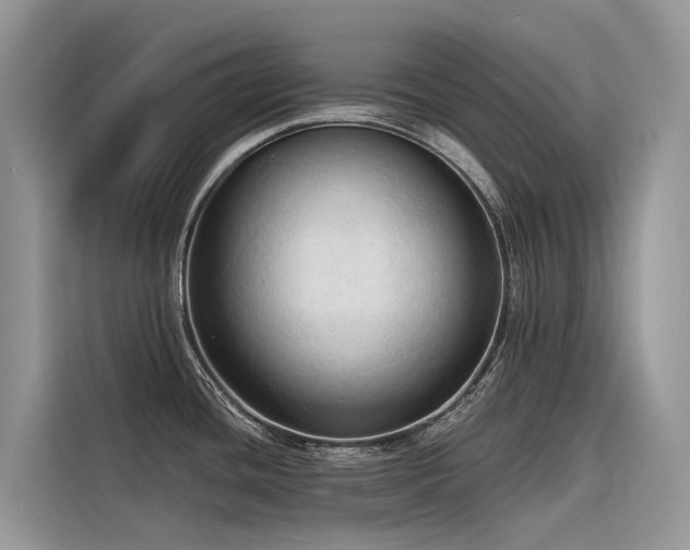 X0000116321436200912011103