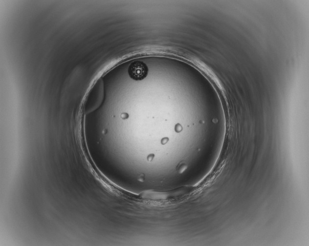 X0000116321437200912011103