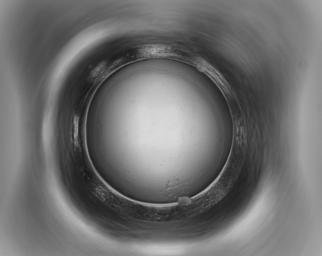X0000116321439200912011104