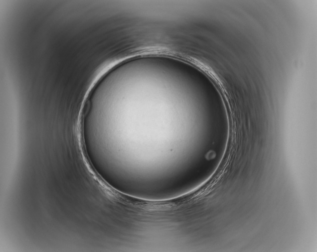X0000116321440200912011104