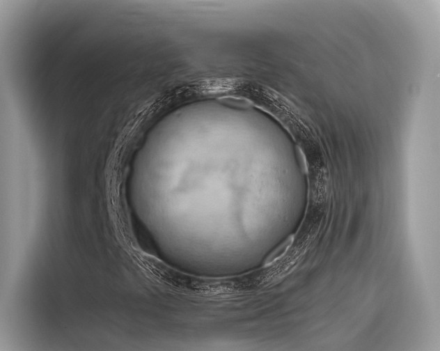 X0000116321441200912011103