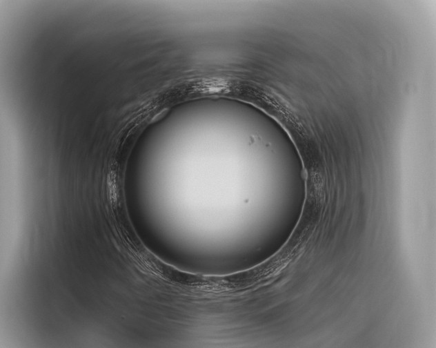 X0000116321442200912011103