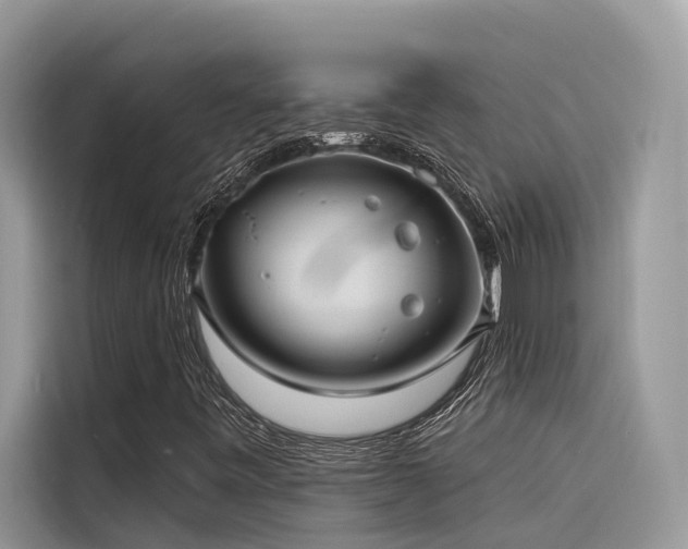X0000116321443200912011103