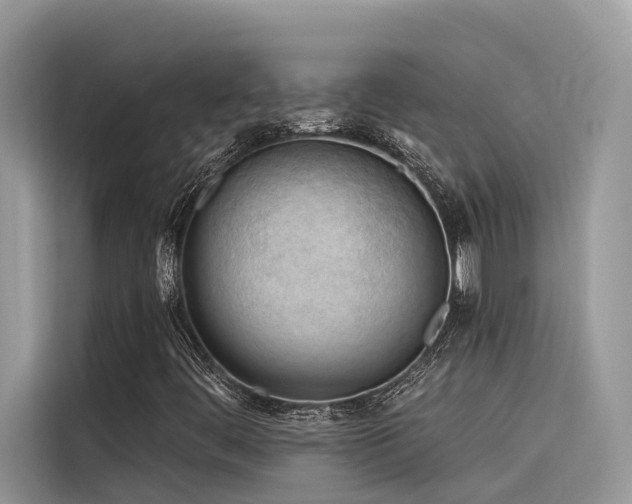 X0000116321444200912011103