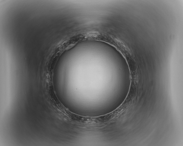 X0000116321445200912011103