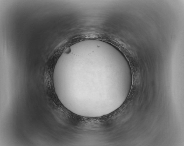 X0000116321446200912011103