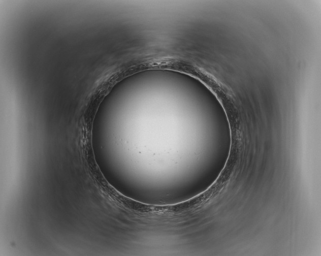 X0000116321447200912011103