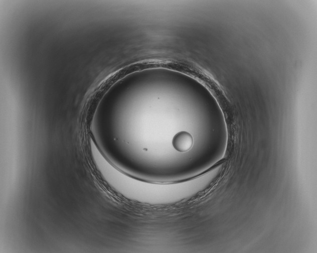 X0000116321448200912011103