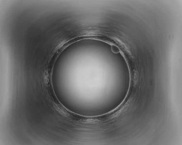 X0000116321449200912011103