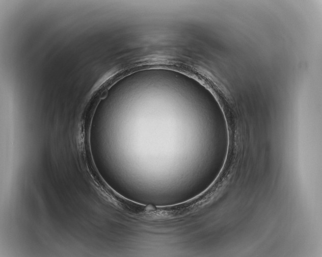 X0000116321450200912011103