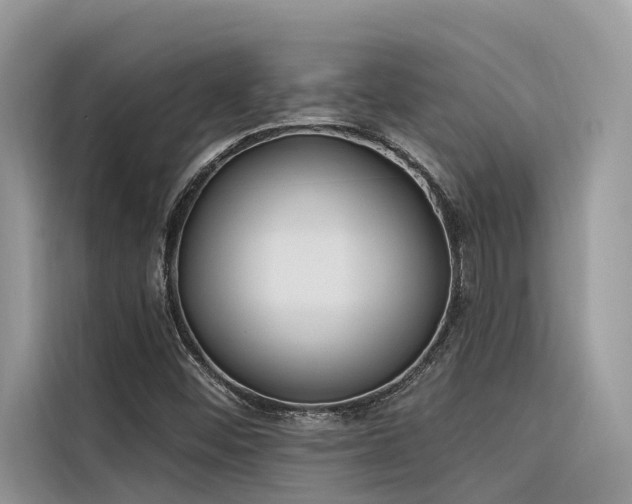 X0000116321452200912011103