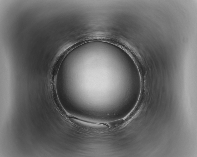 X0000116321453200912011103