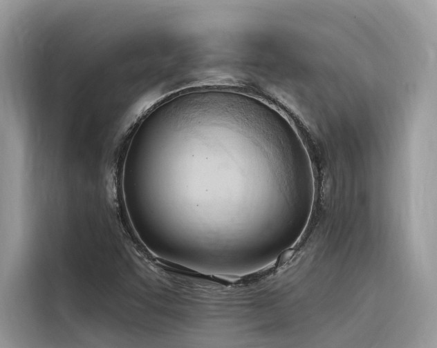 X0000116321455200912011103