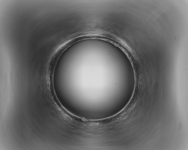 X0000116321456200912011103