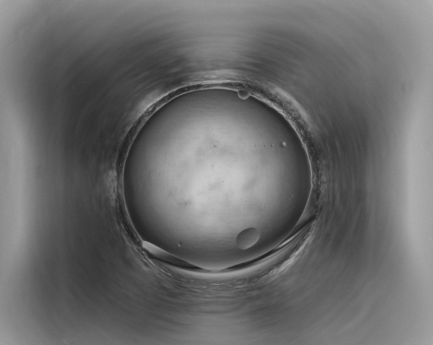 X0000116321457200912011103