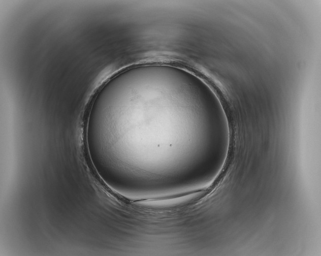 X0000116321459200912011103