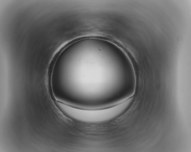 X0000116321460200912011102