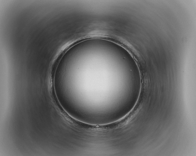 X0000116321461200912011102