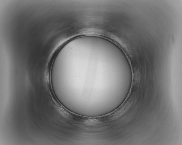 X0000116321462200912011102