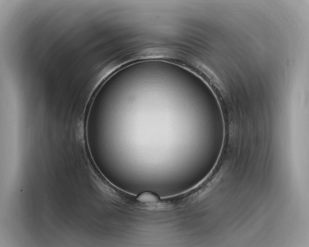 X0000116321465200912011102