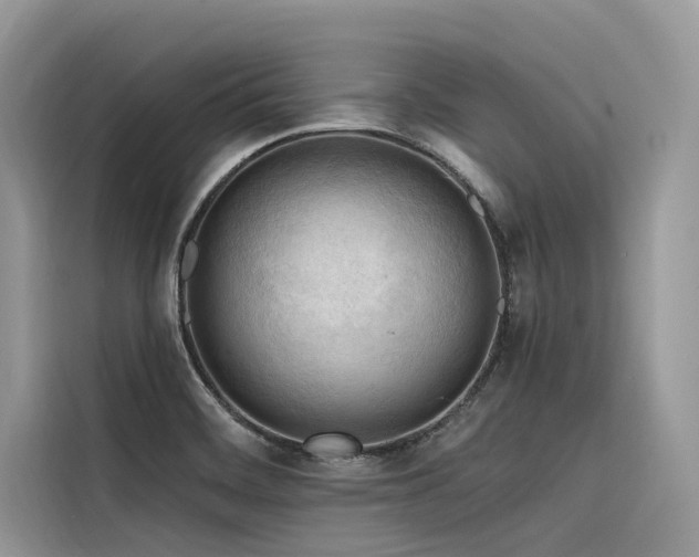 X0000116321468200912011102