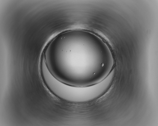 X0000116321469200912011102