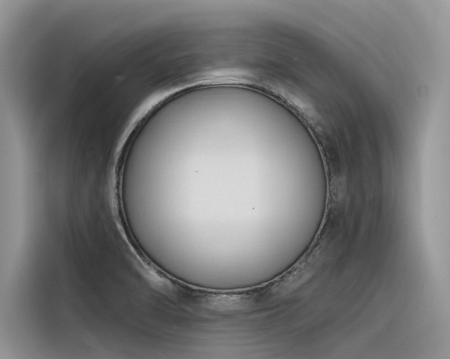 X0000116321470200912011102