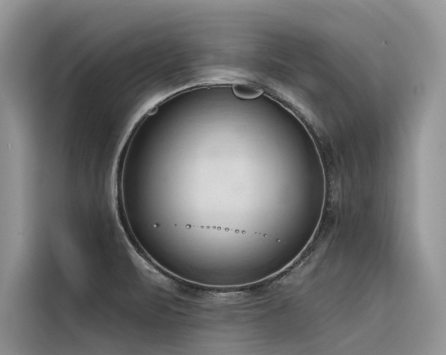 X0000116321471200912011102