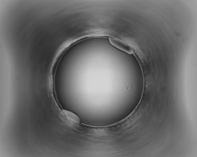 X0000116321472200912011102