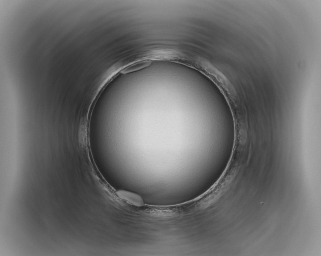 X0000116321473200912011102