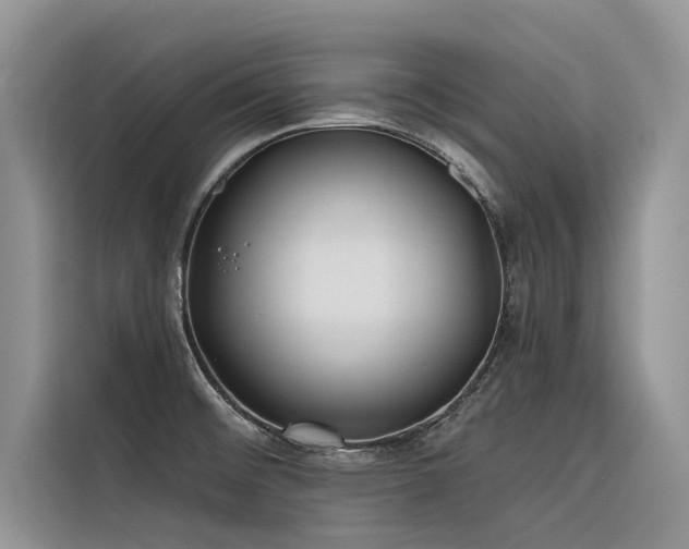 X0000116321476200912011102