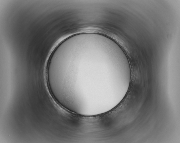X0000116321478200912011102