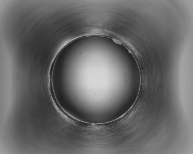 X0000116321479200912011102