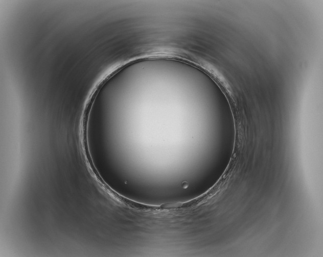 X0000116321480200912011102