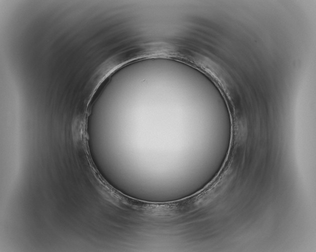 X0000116321481200912011102