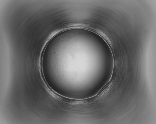X0000116321482200912011102