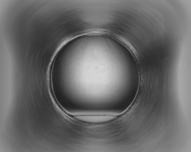 X0000116321483200912011102