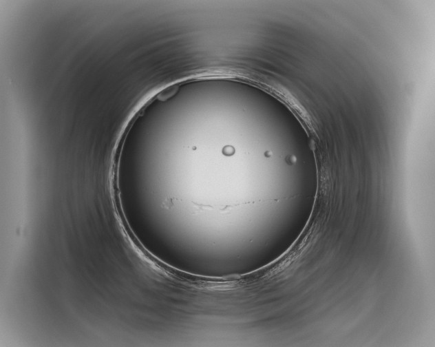 X0000116321484200912011102