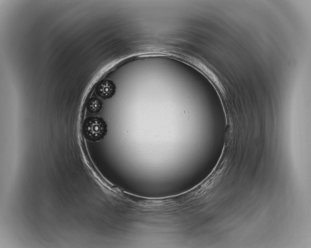 X0000116321485200912011102
