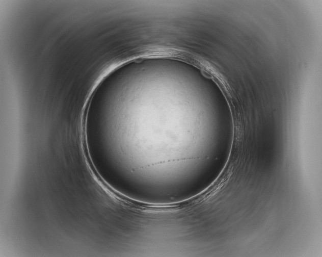 X0000116321487200912011102