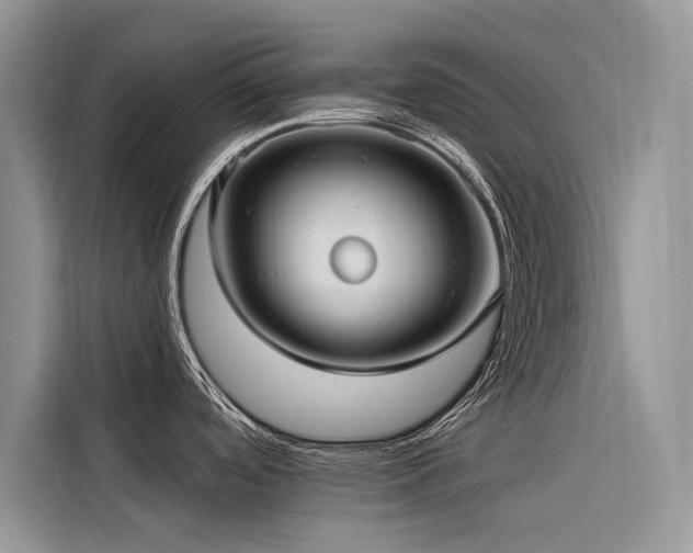 X0000116321488200912011102
