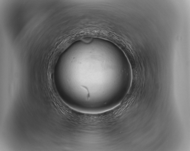X0000116321489200912011101
