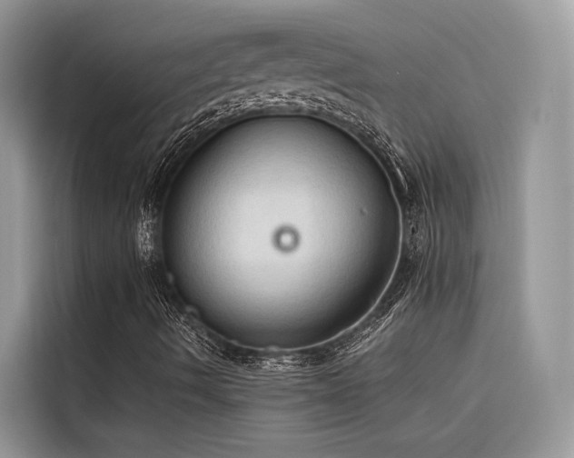 X0000116321490200912011102
