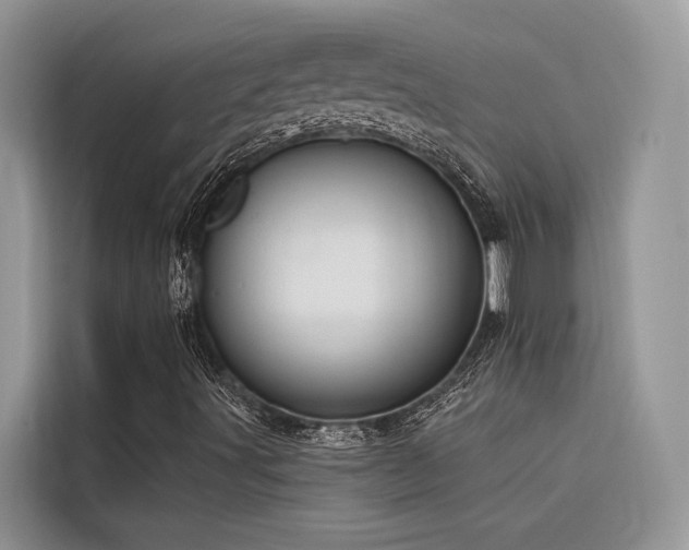 X0000116321491200912011102