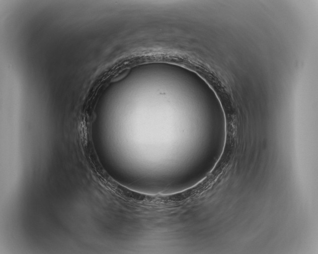 X0000116321493200912011102